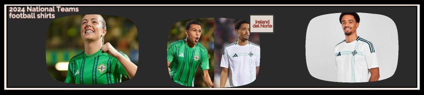 fake Ireland del Norte football shirts 2024